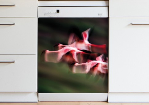 Magnet XXL Vol de flamands