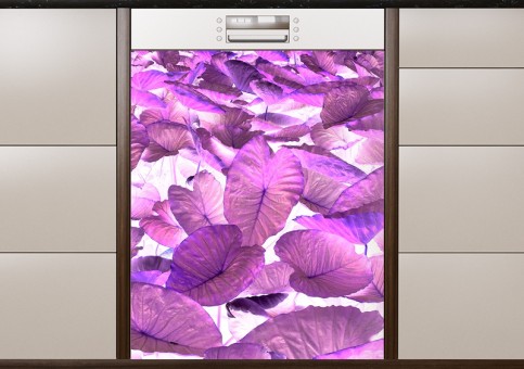 Magnet XXL Feuilles