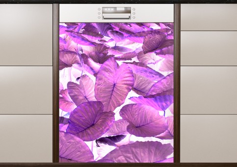 Magnet XXL Feuilles