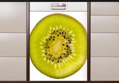 Magnet XXL Kiwi