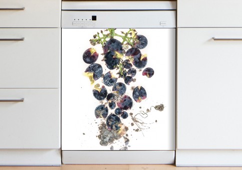 Magnet XXL Raisin Célestin grappe