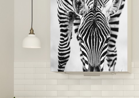 Magnet XXL portrait de zà¨bre