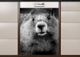 Magnet XXL Portrait de marmotte